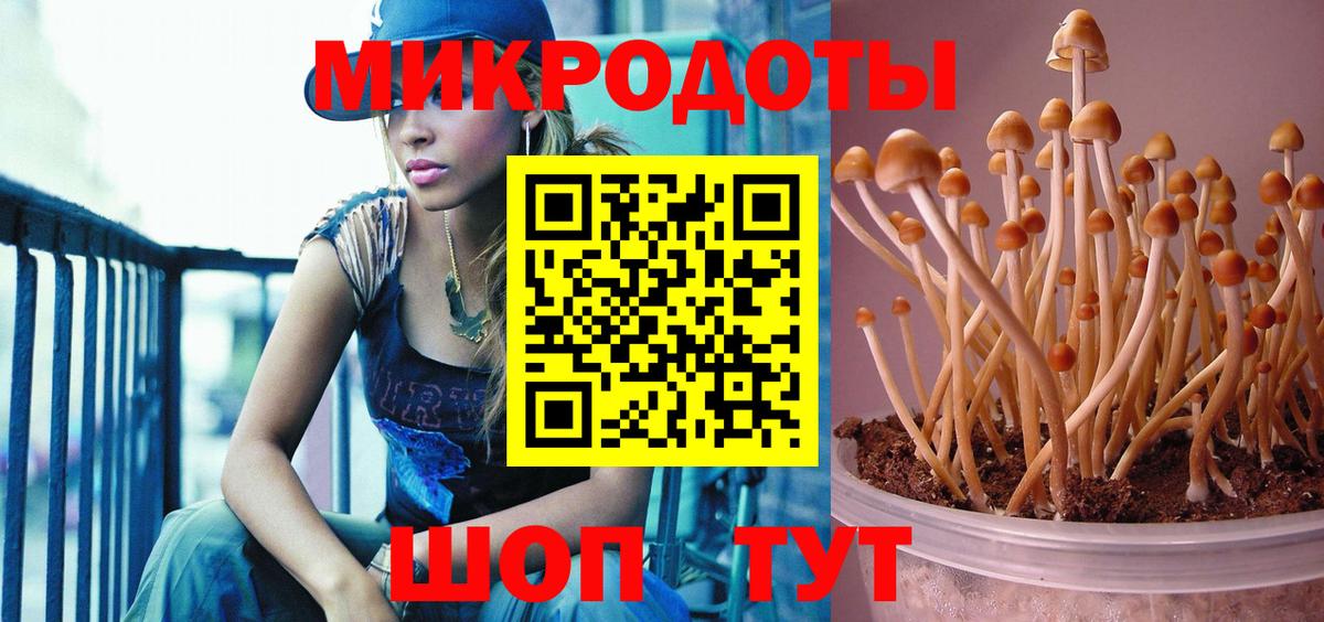 Галлюциногенные грибы мухоморы  Вход с VPN  Северодвинск 