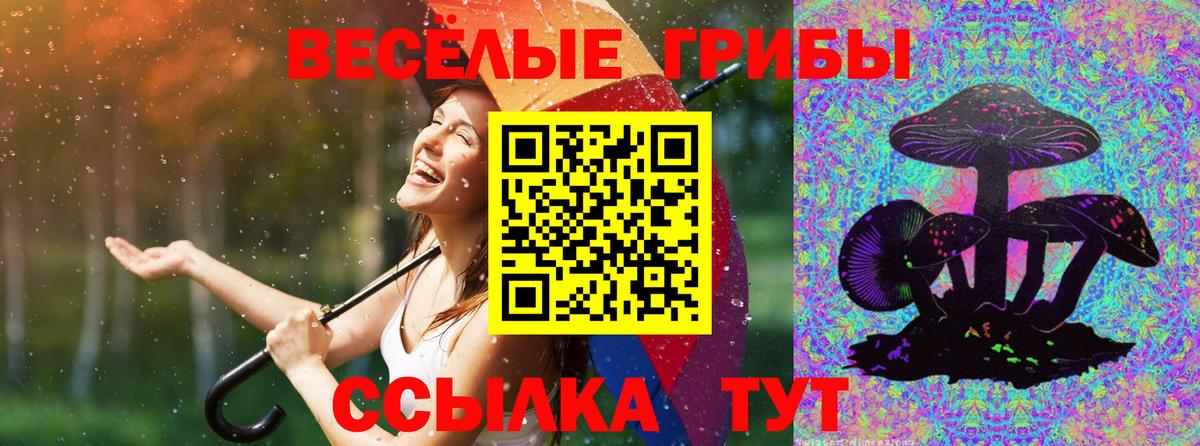 Галлюциногенные грибы прущие грибы Северодвинск